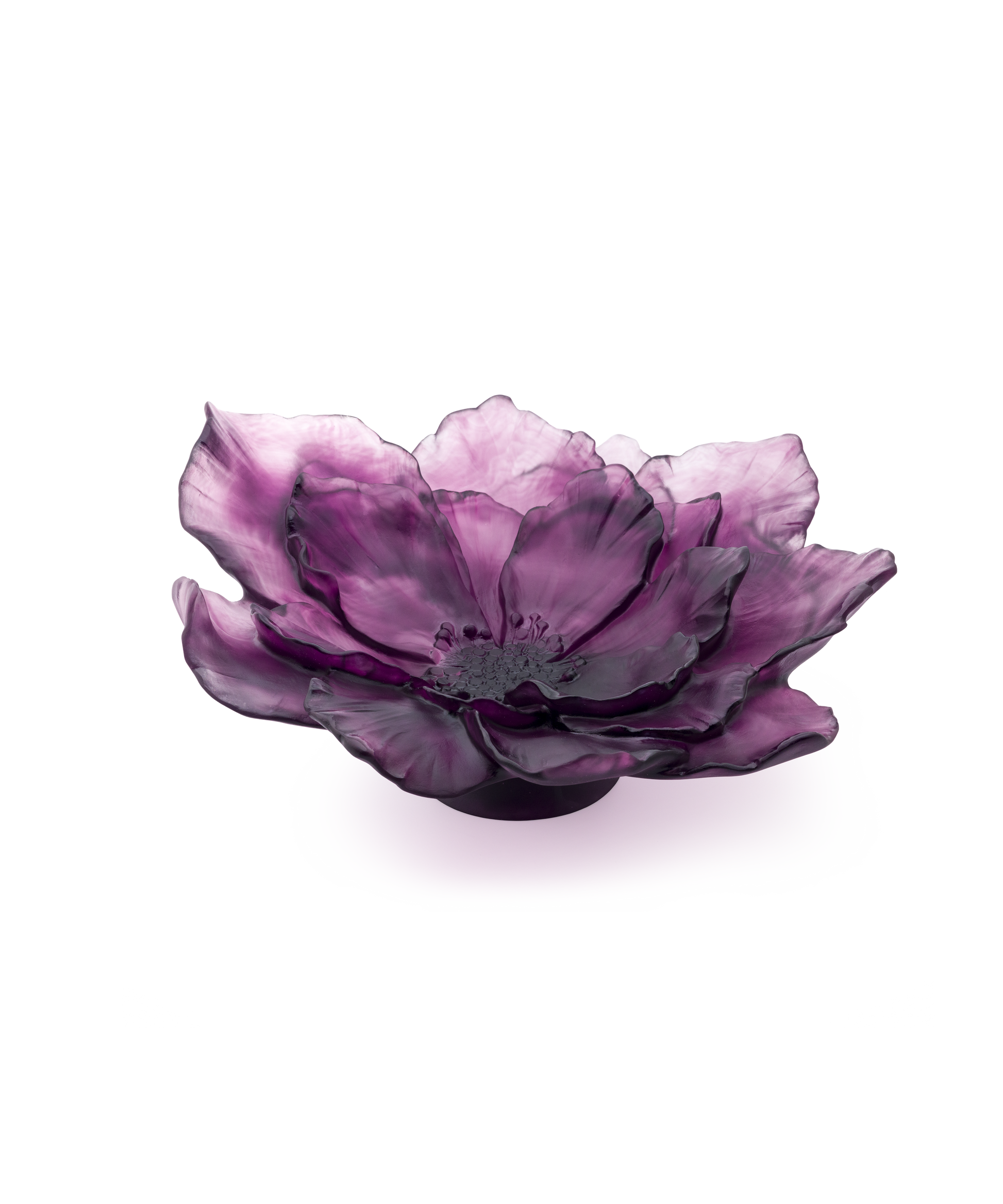 Camelia Coupe grand modèle Violette - Daum