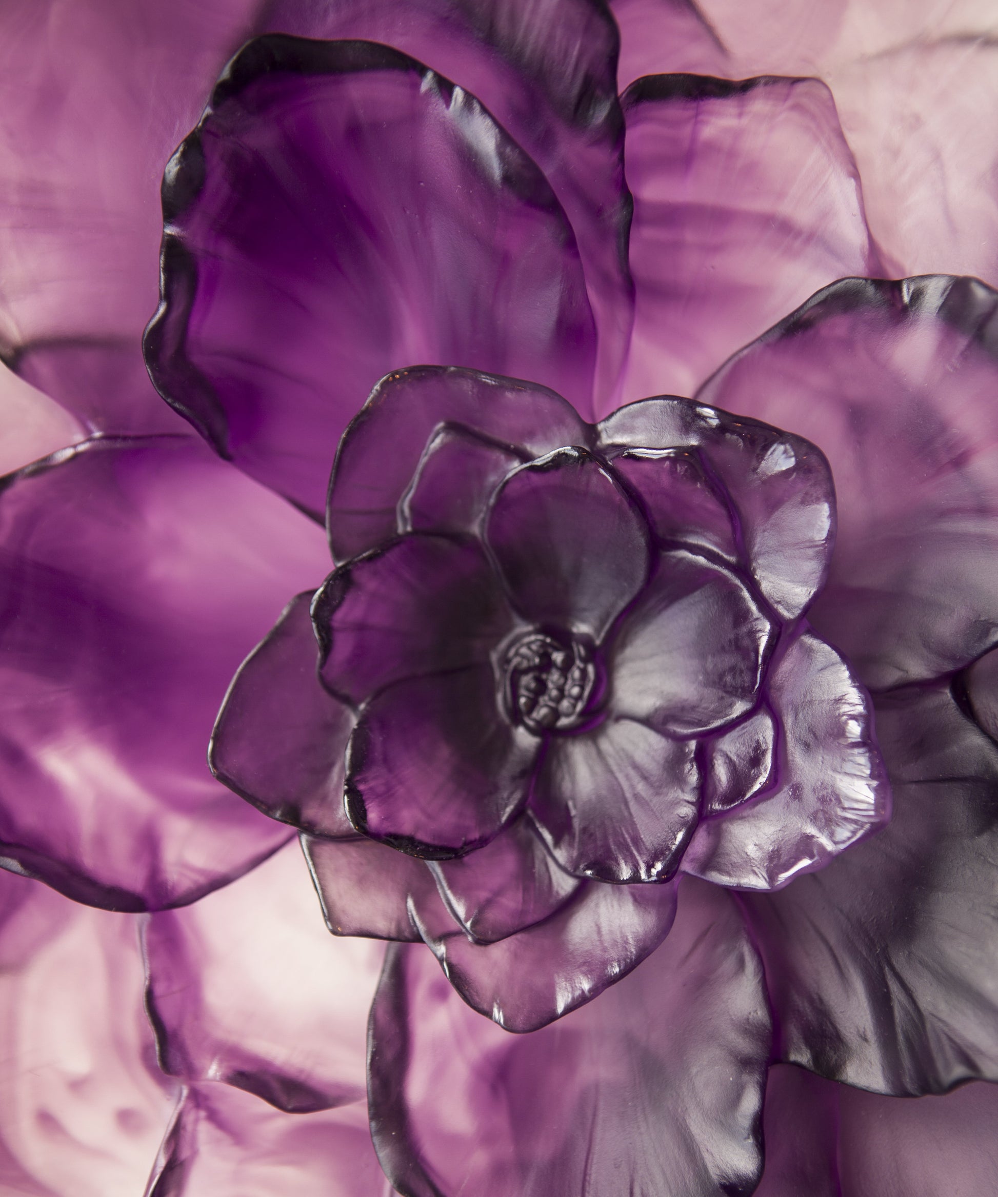 Camelia Coupe grand modèle Violette - Daum