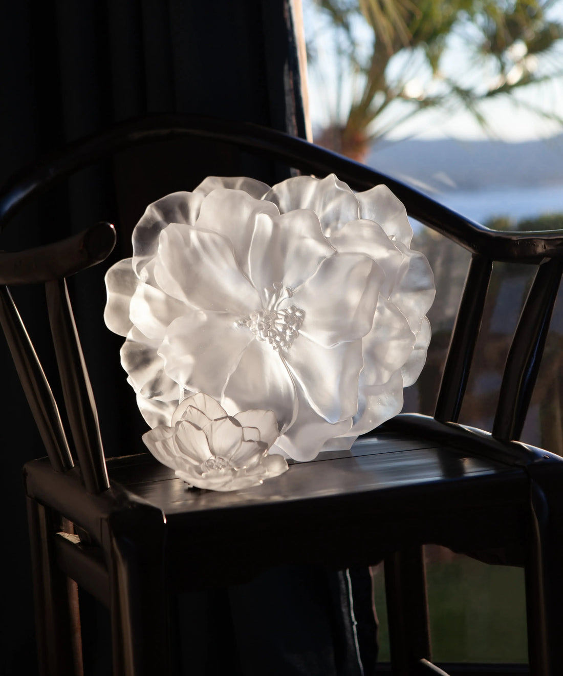 daum-default-title-camelia-coupe-petit-modele-blanche-57202448466259 - Benjamin & Maxwell