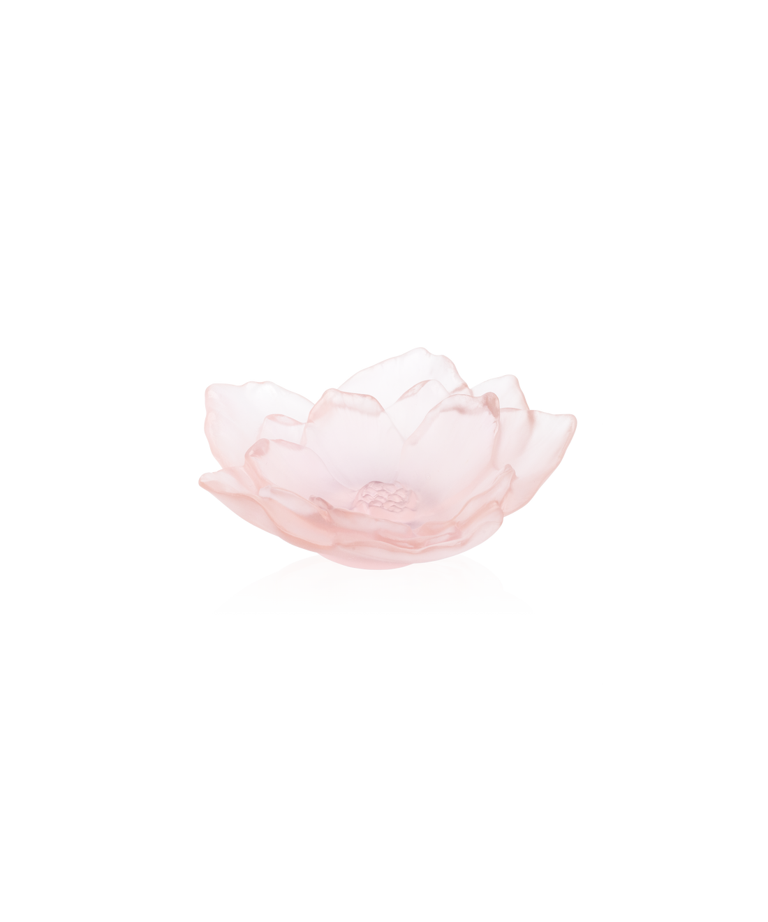 Vase Daum Camélia Coupe petit modèle en verre rose avec motif floral délicat.
