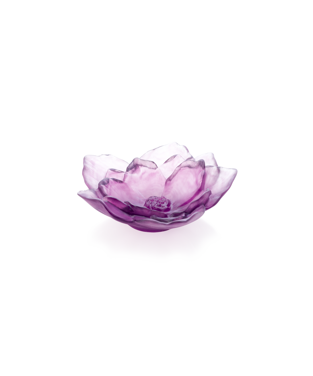 Camelia Coupe petit modèle Violette - Daum