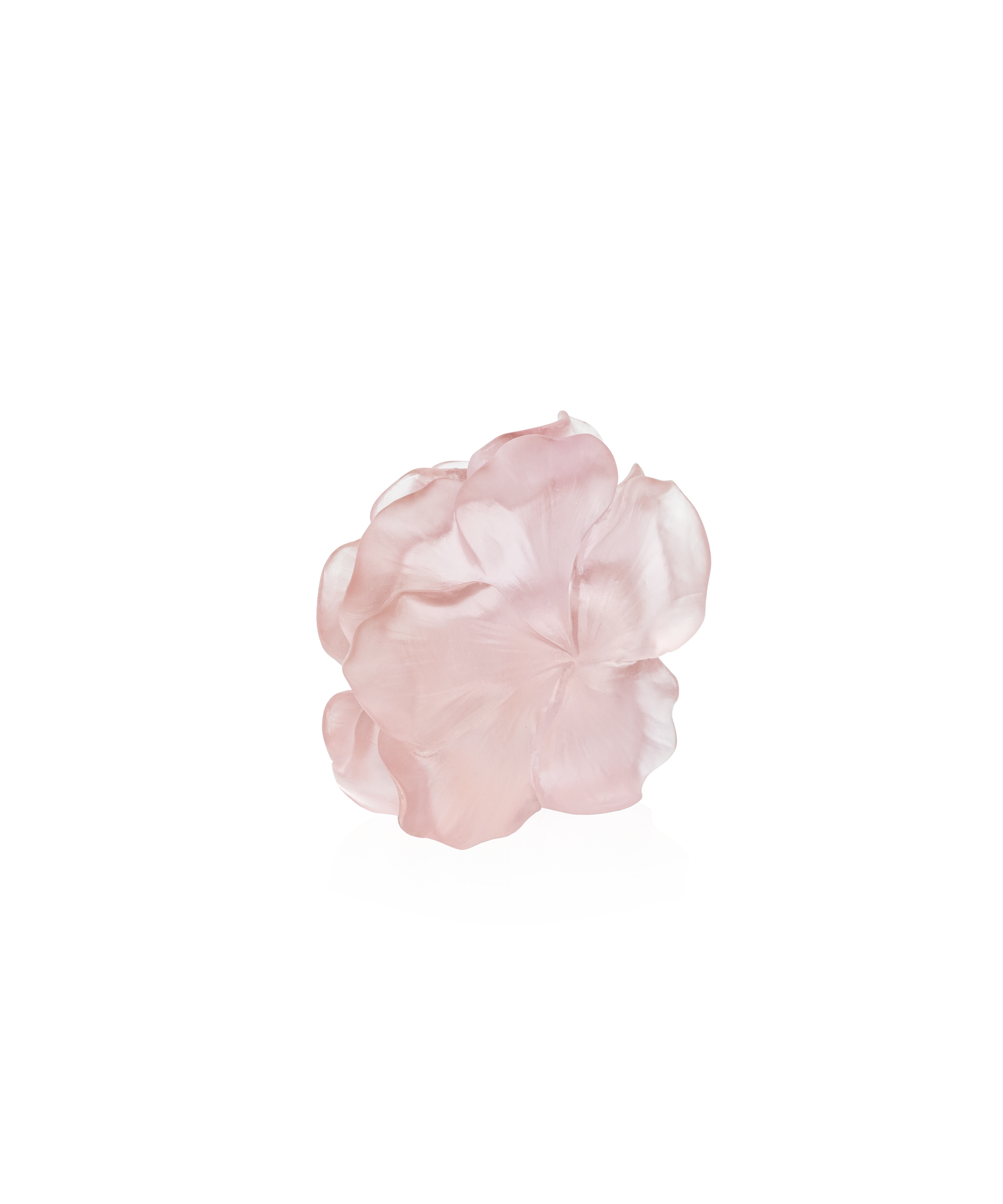 Camelia Fleur décorative Rose - Daum