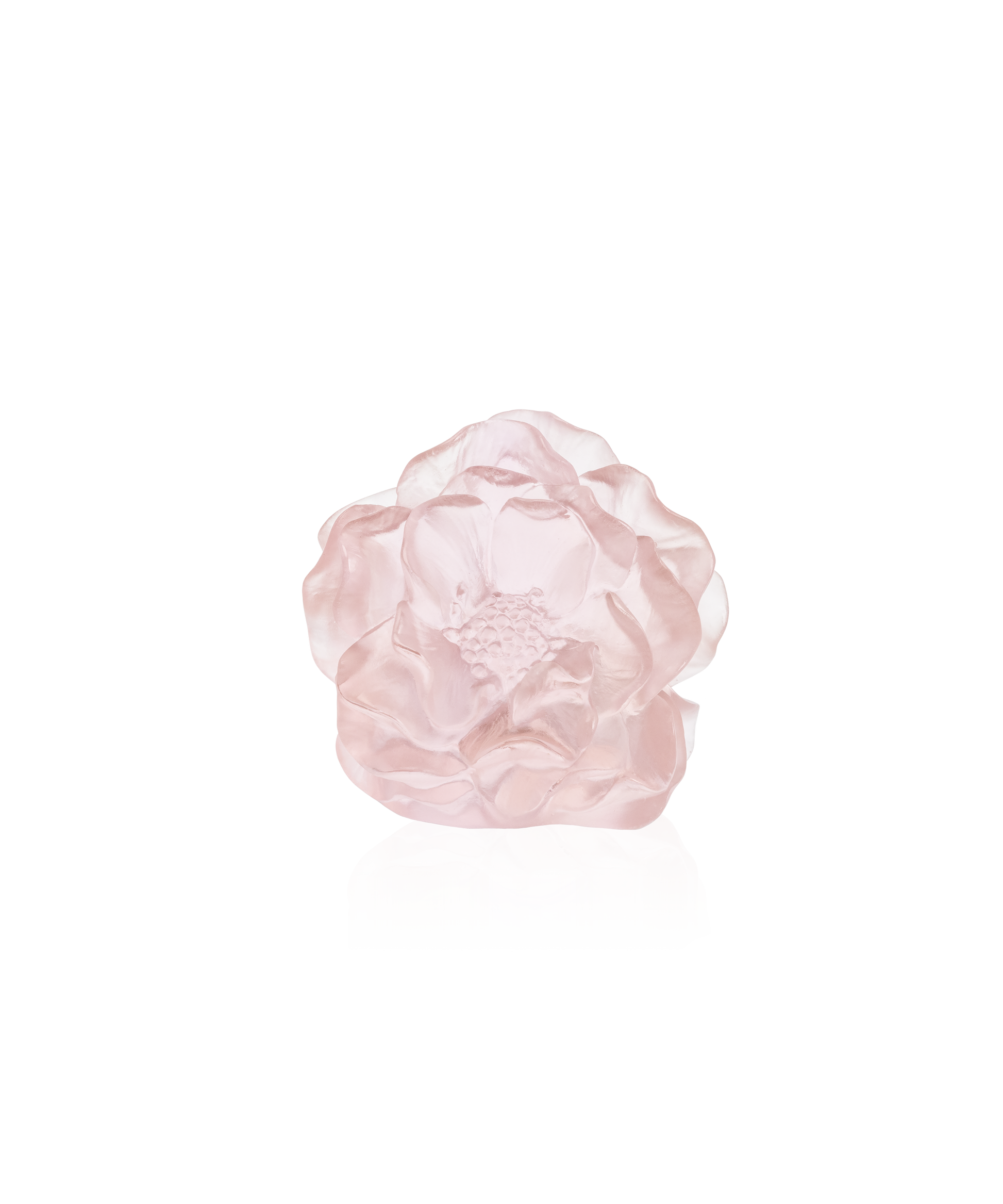 Camelia Fleur décorative Rose - Daum