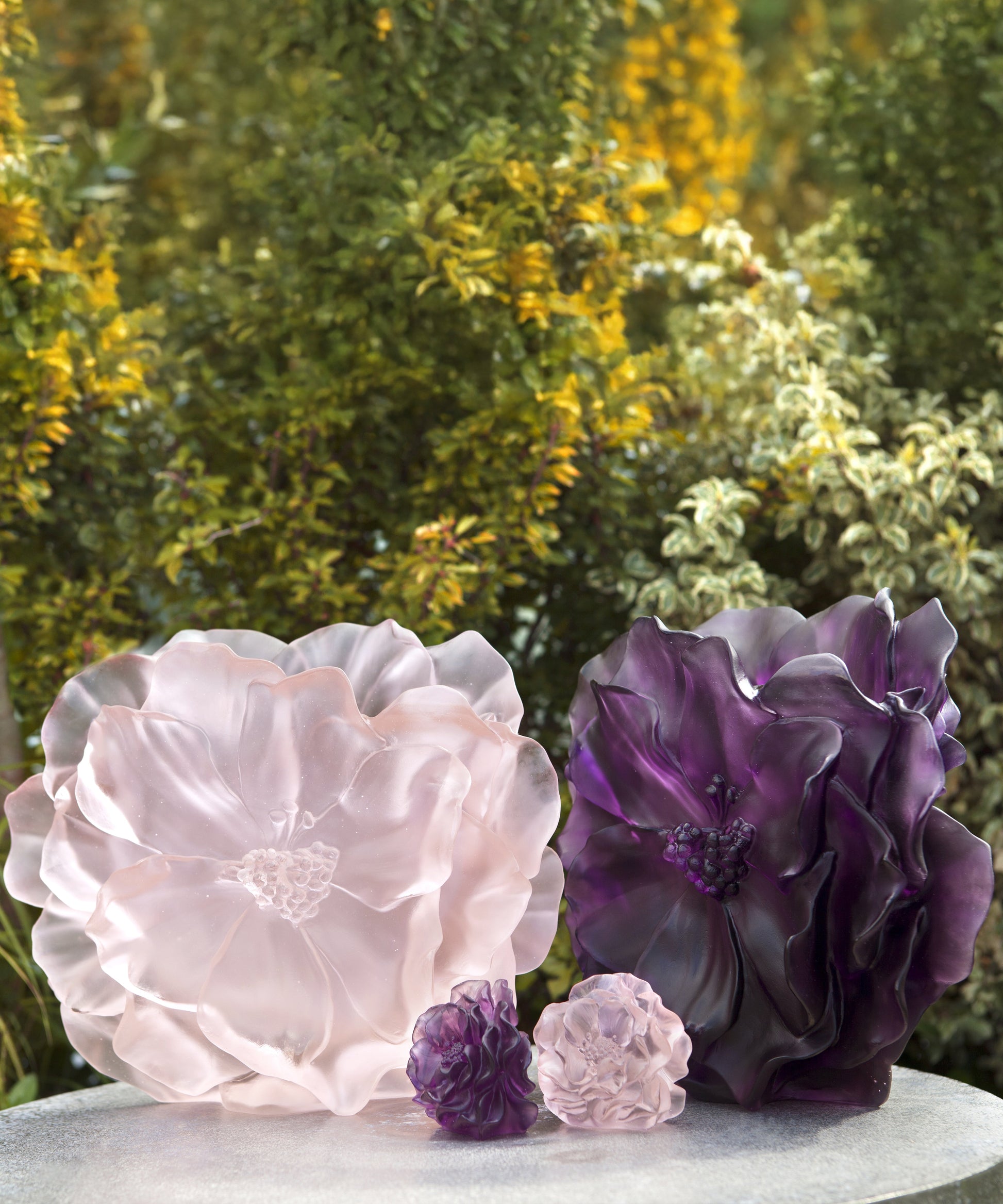 Camelia Fleur décorative Violette - Daum