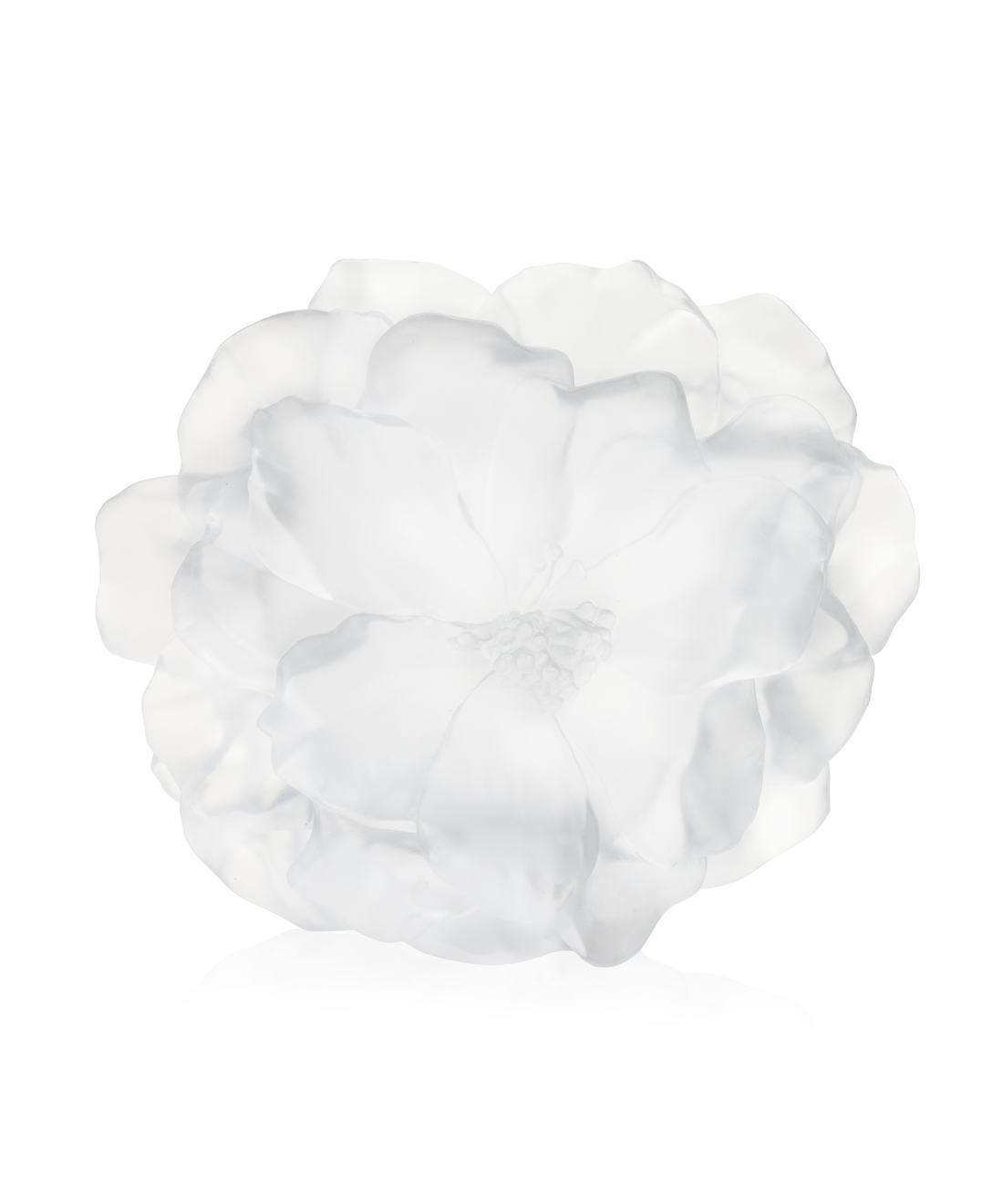 Camelia Vase grand modèle Blanc - Daum