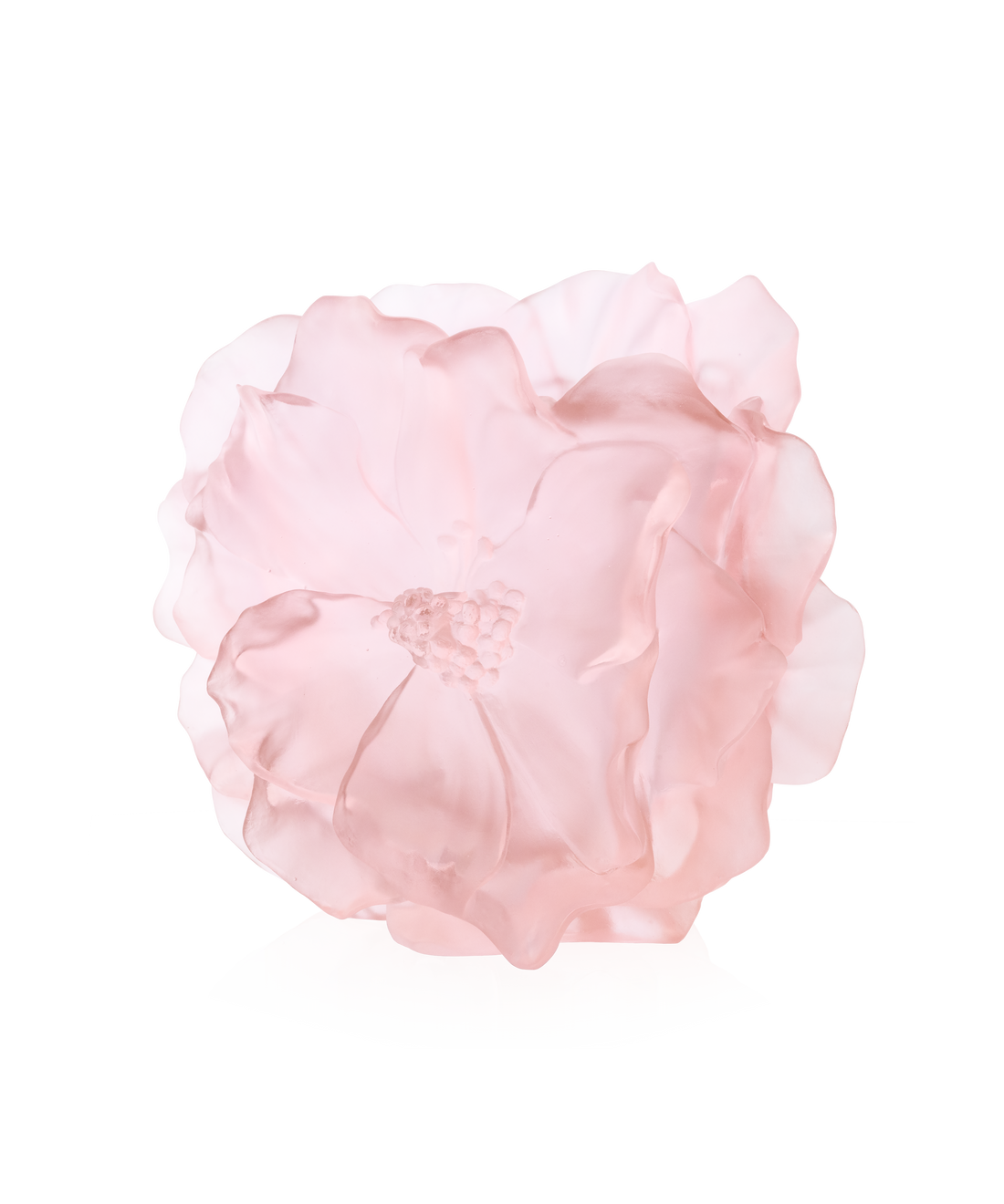 Camelia Vase grand modèle Rose - Daum