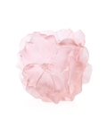 Camelia Vase grand modèle Rose - Daum