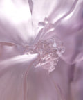 Camelia Vase grand modèle Rose - Daum