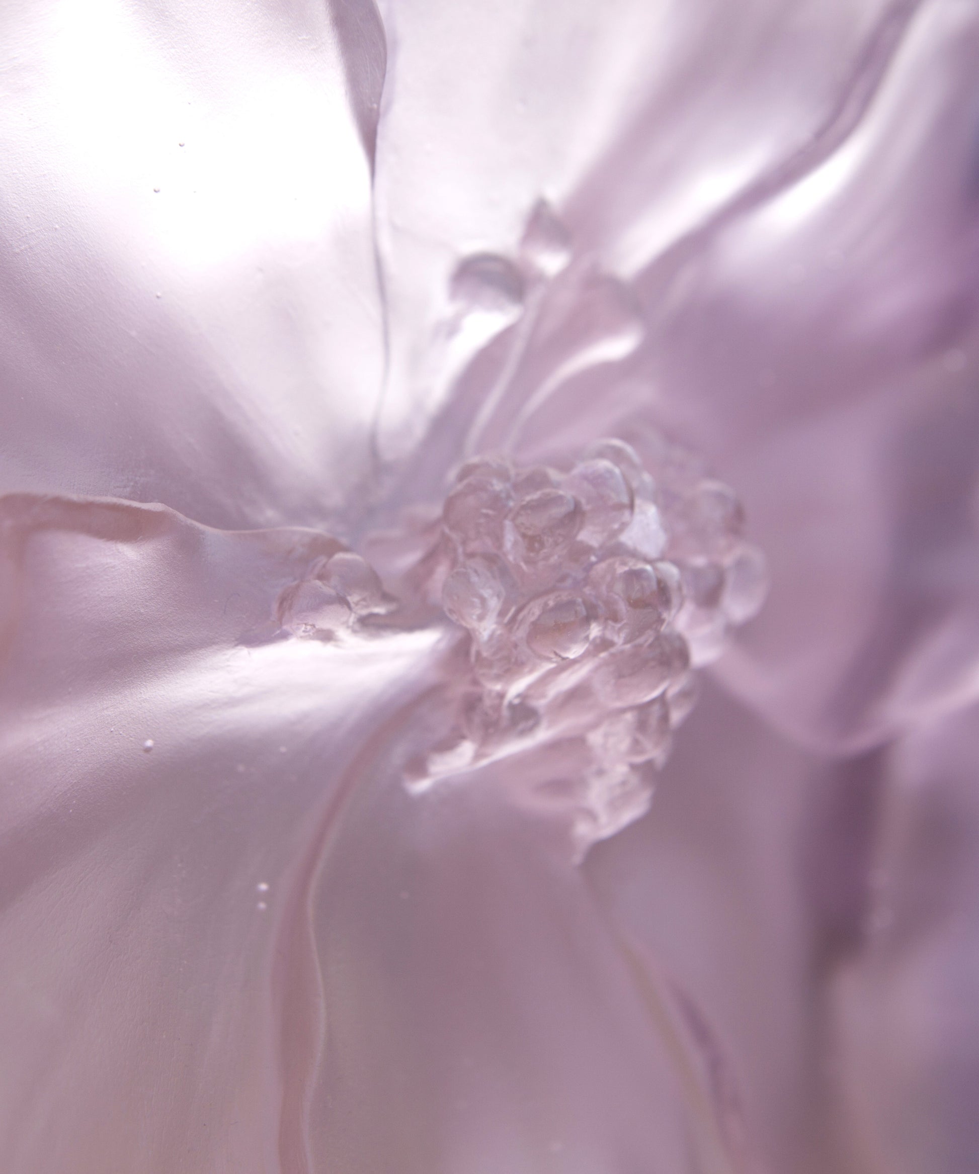 Camelia Vase grand modèle Rose - Daum