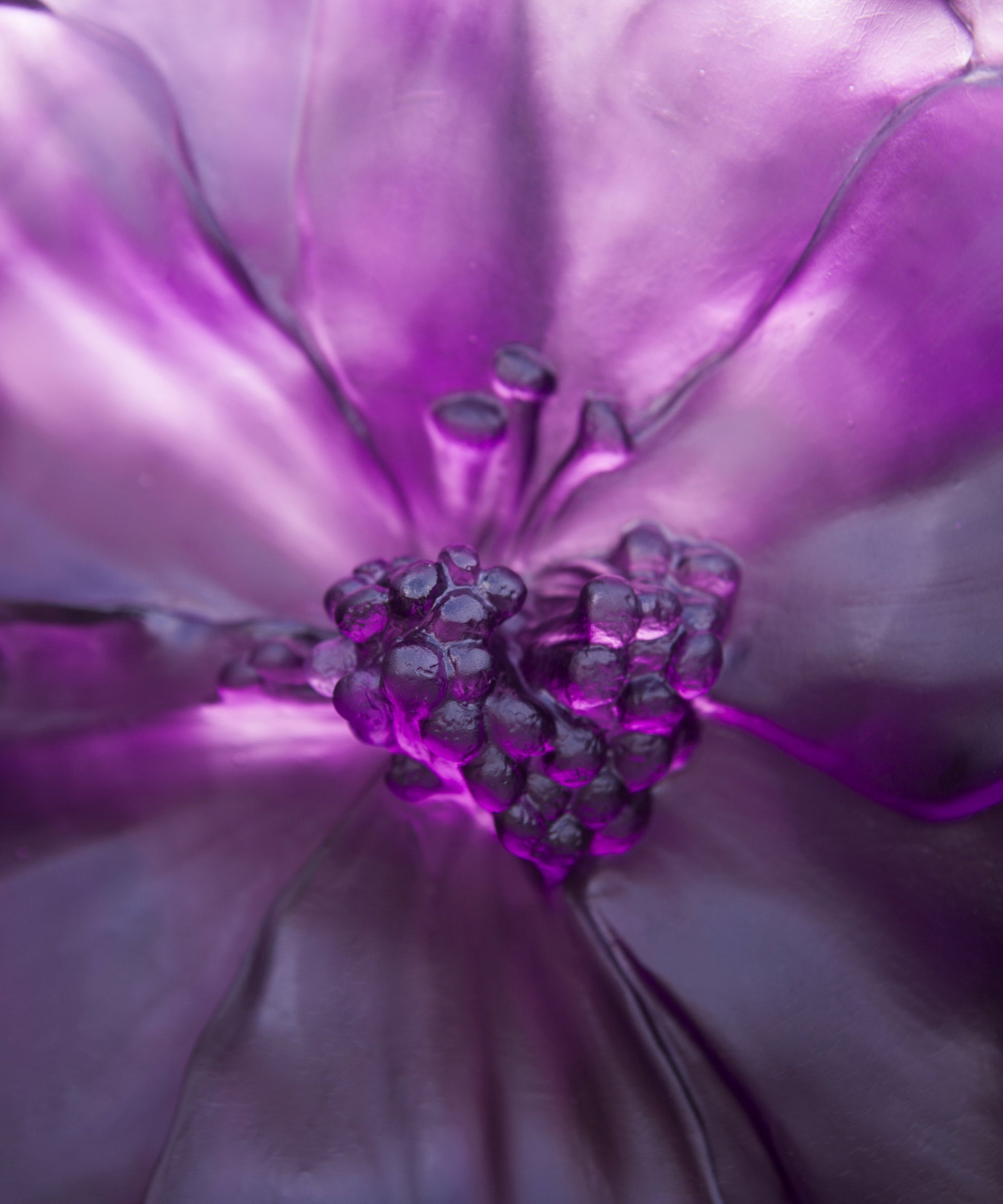 Camelia Vase grand modèle Violet - Daum
