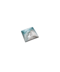 Cavalcade Vide-poche Bleu-gris - Daum