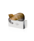 Chat - Daum