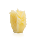 Citrus Bougie Jaune - Daum