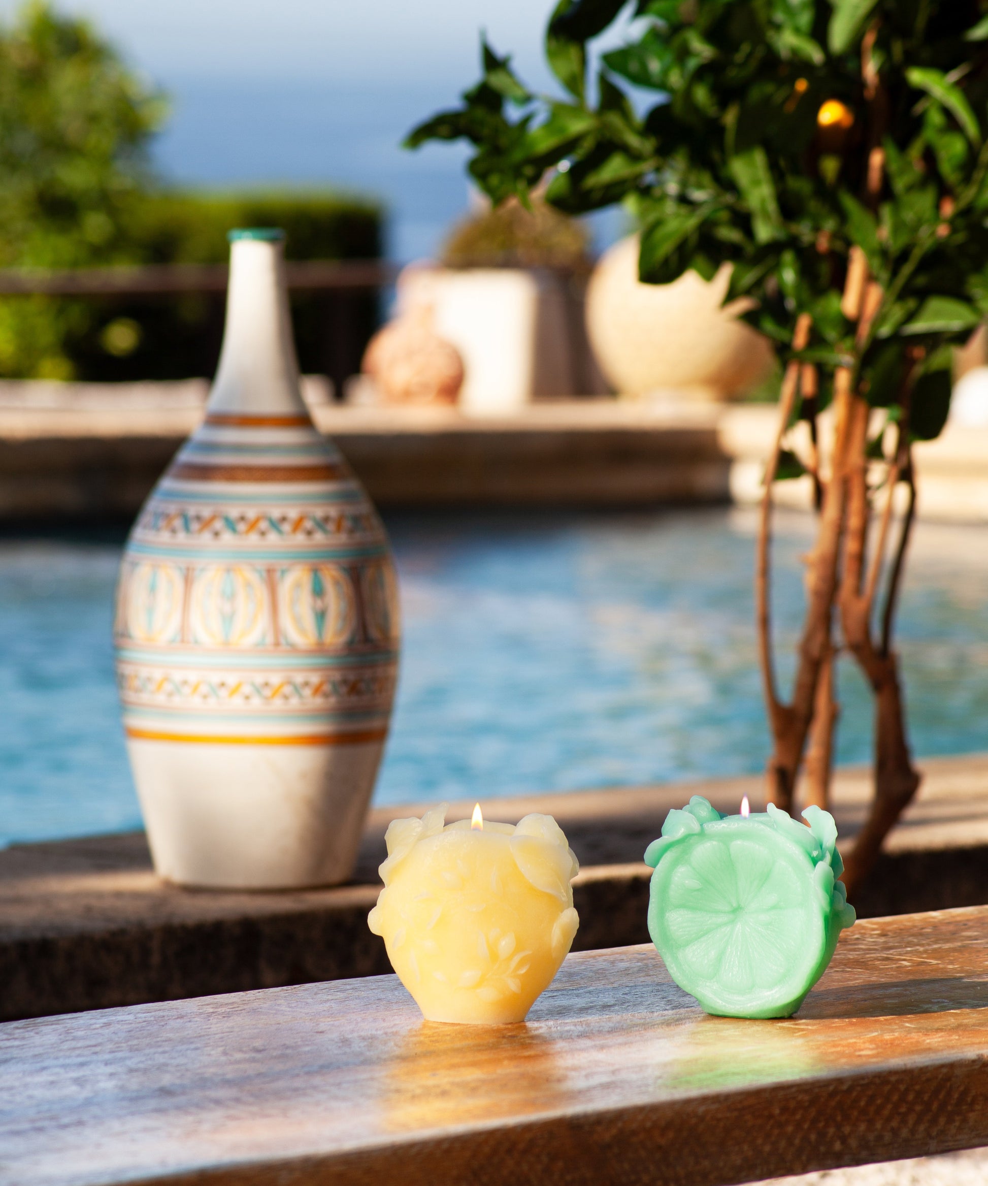 Citrus Bougie Verte - Daum