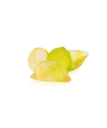 Citrus Composition décorative - Daum