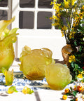 Citrus Composition décorative - Daum