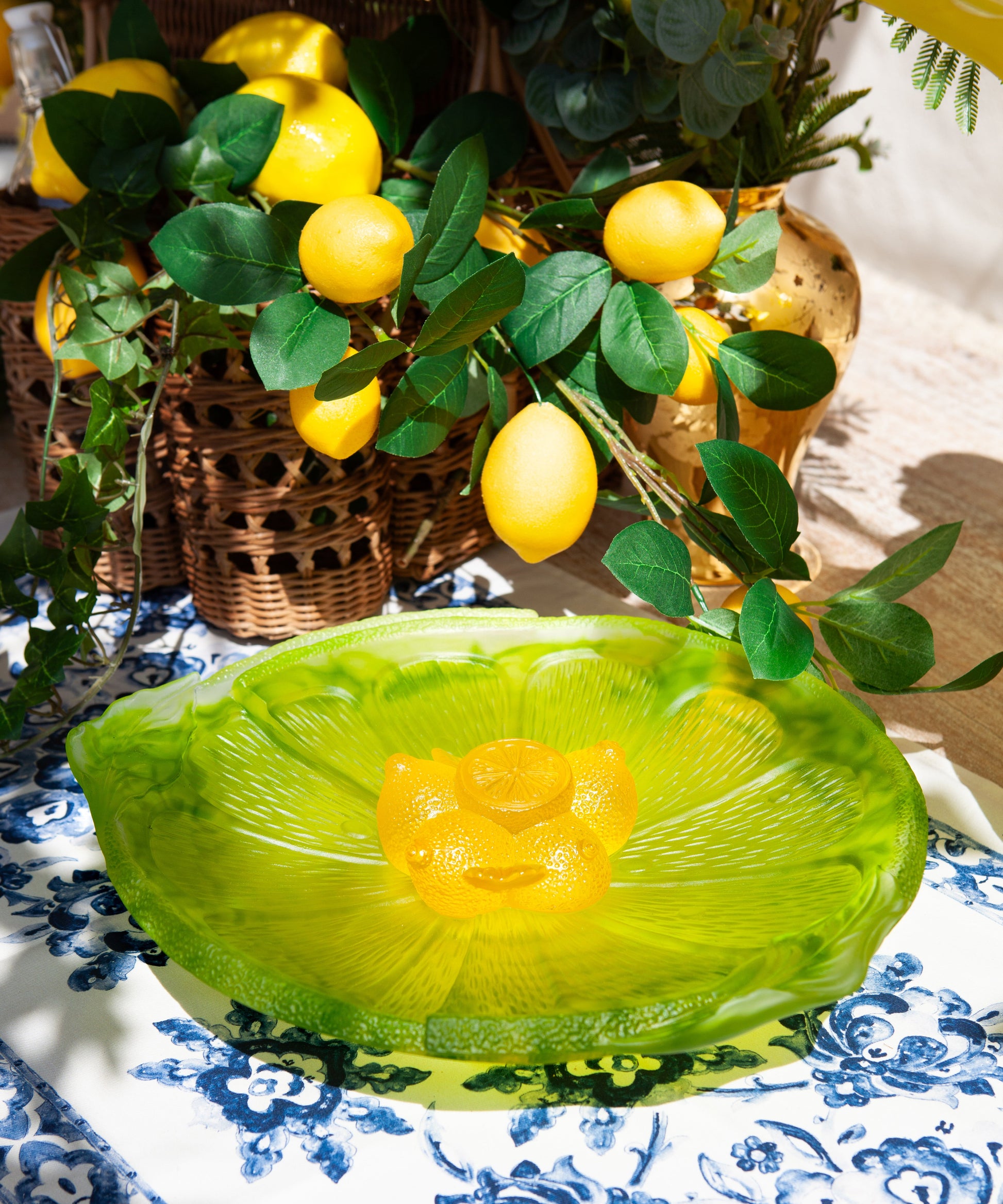 Citrus Coupe sur pied 225ex - Daum