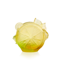 Citrus Vase moyen modèle 225ex - Daum