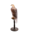 Faucon Gerfaut Ambre-rose de Madeleine Van der Knoop 125ex - Daum