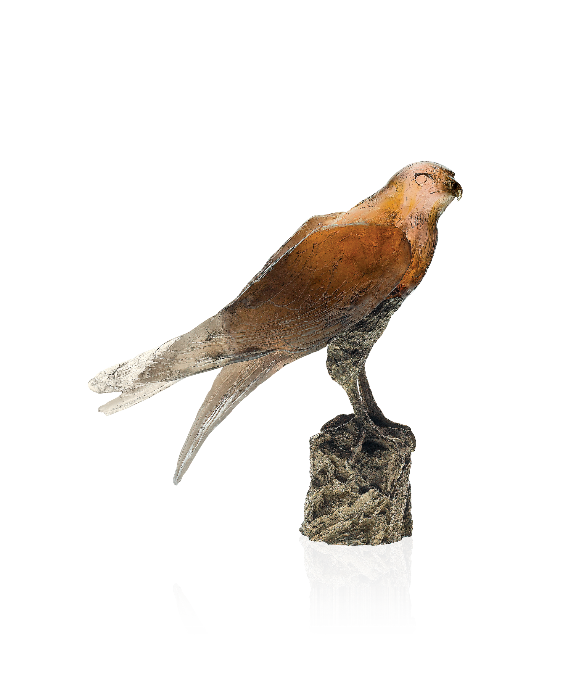 Faucon Saker de Madeleine Van der Knoop 375ex - Daum