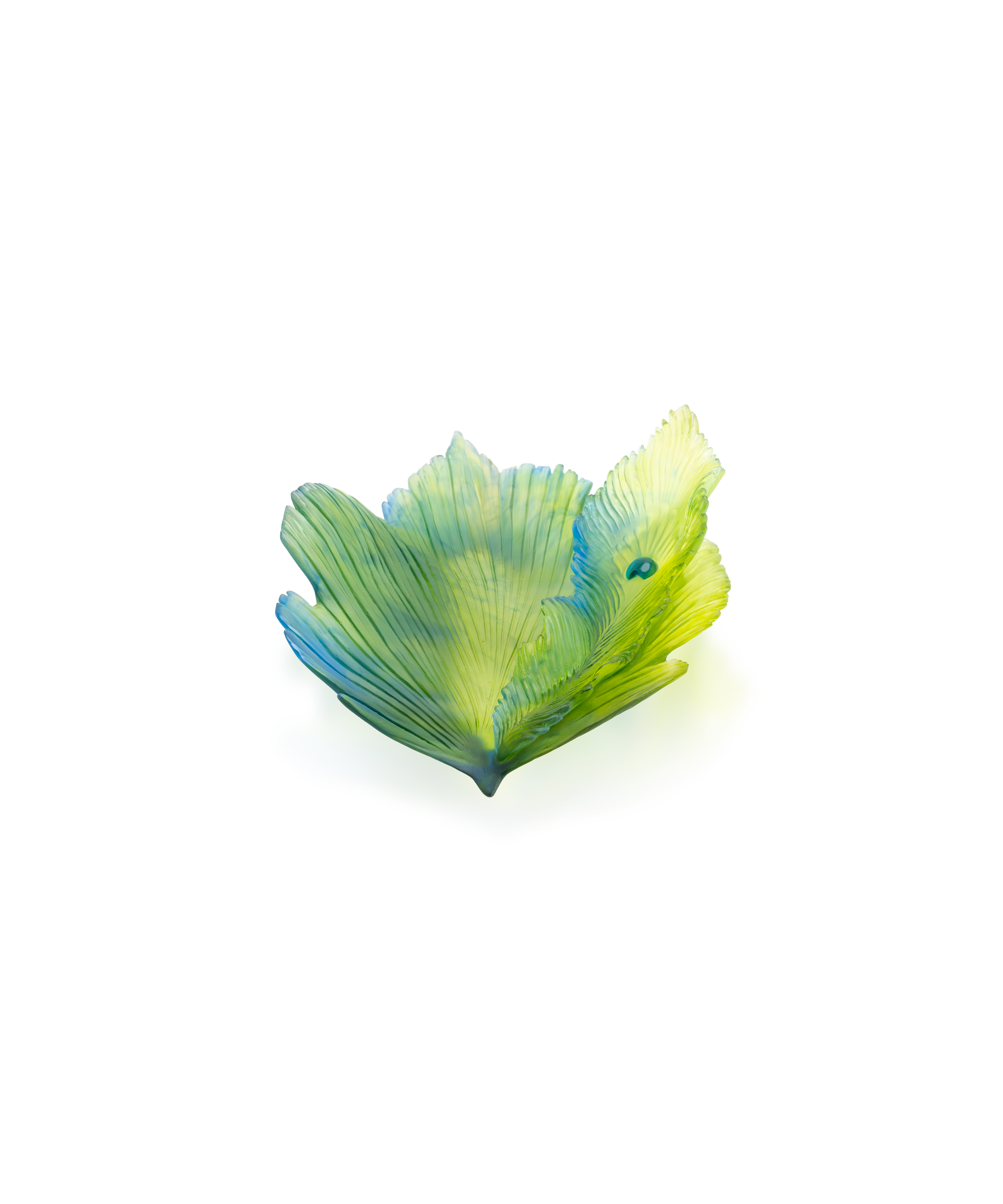 Fleur de Paon Exotique Coupe moyen modèle - Daum