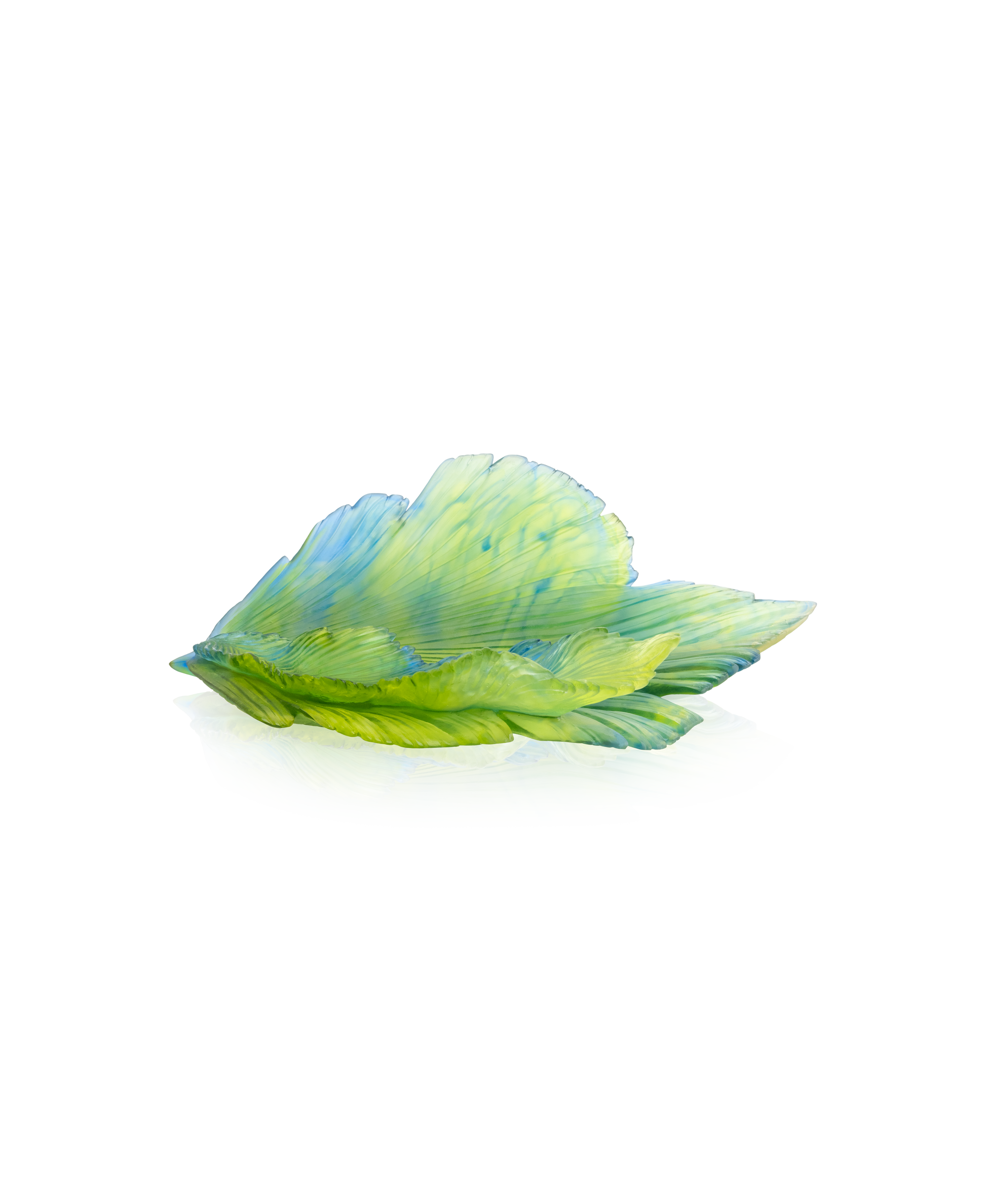 Fleur de Paon Exotique Coupe moyen modèle - Daum