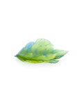 Fleur de Paon Exotique Coupe moyen modèle - Daum