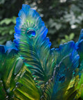 Fleur de Paon Exotique Vase Magnum 25ex - Daum