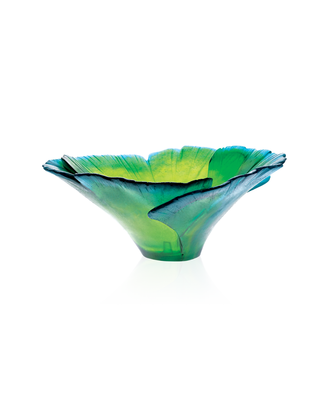 Ginkgo Coupe Haute Verte - Daum