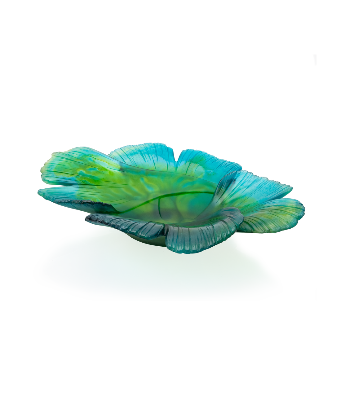 Ginkgo Coupe magnum Verte - Daum