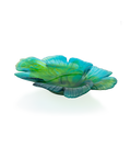 Ginkgo Coupe magnum Verte - Daum