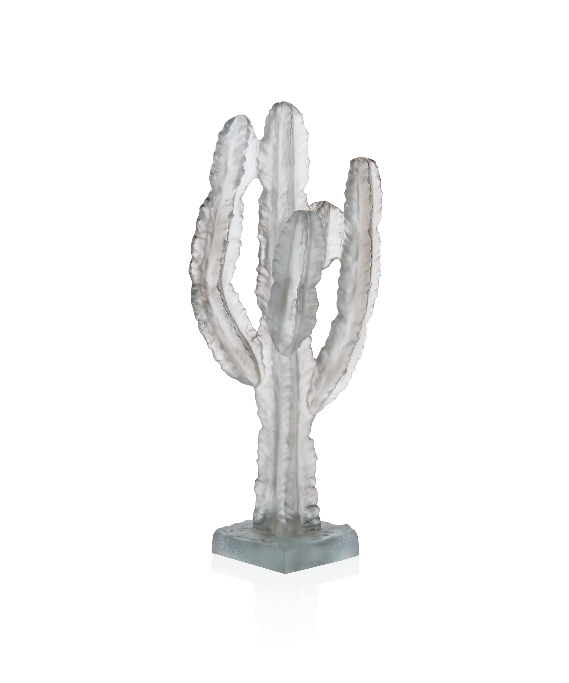 Jardin de Cactus Cactus Gris de Emilio Robba - Daum