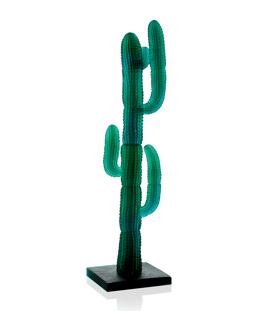 Jardin de Cactus Cactus XL Vert de Emilio Robba 125ex - Daum