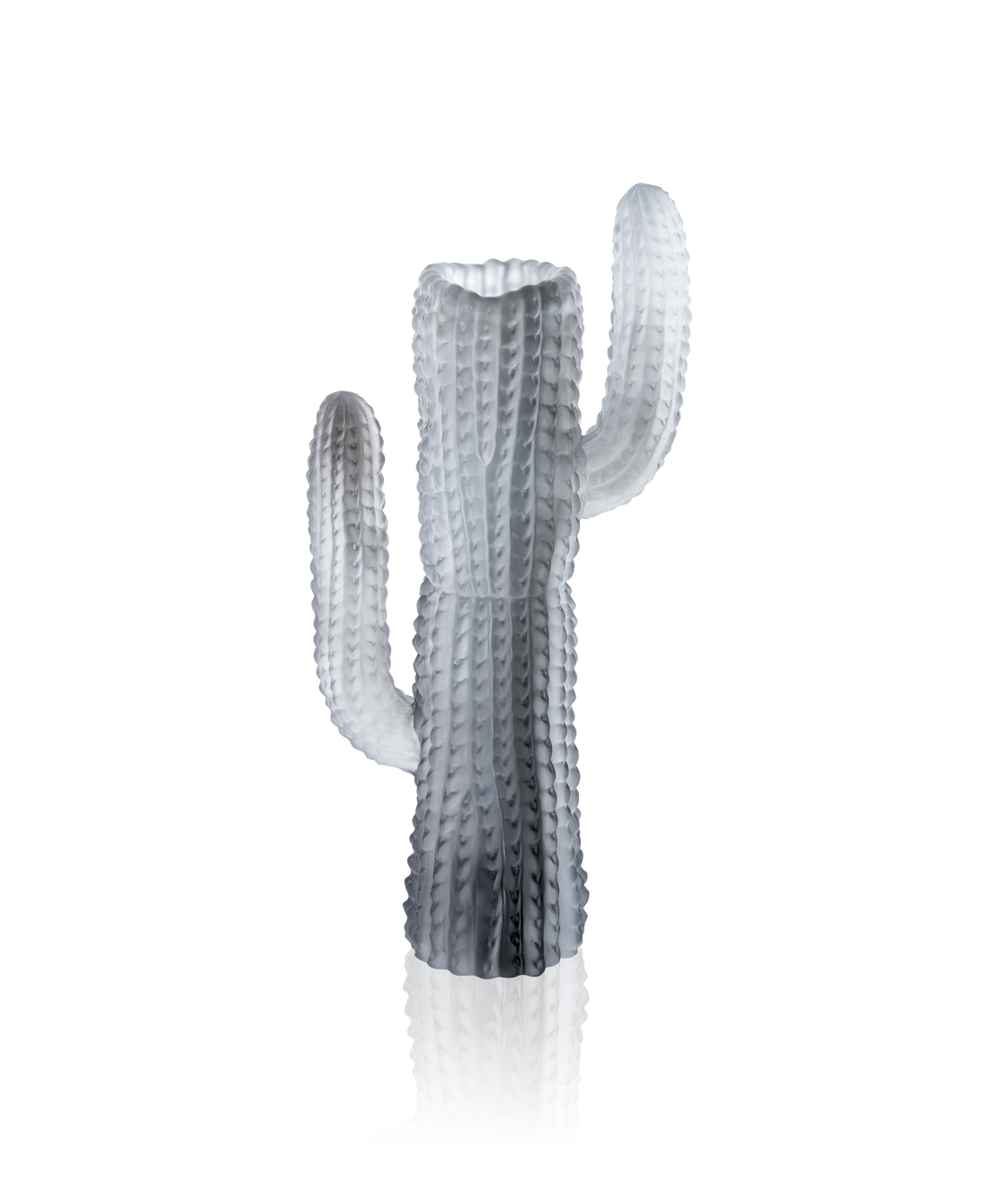 Jardin de Cactus Vase Gris de Emilio Robba - Daum