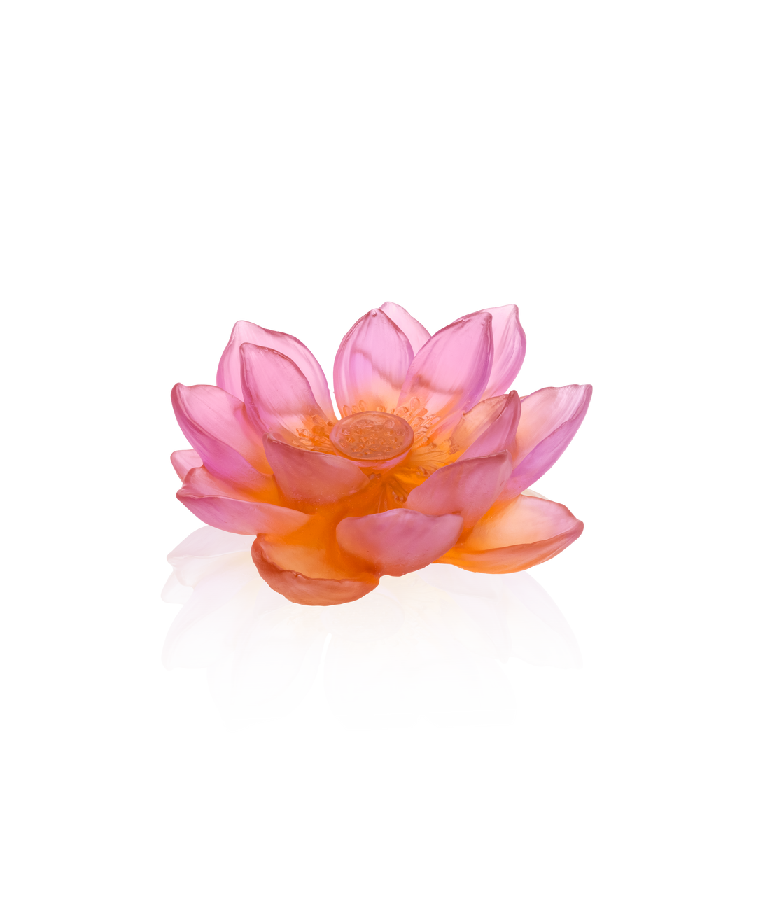 Jardin de Lotus Fleur décorative Ambre-rose - Daum
