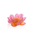 Jardin de Lotus Fleur décorative Ambre-rose - Daum