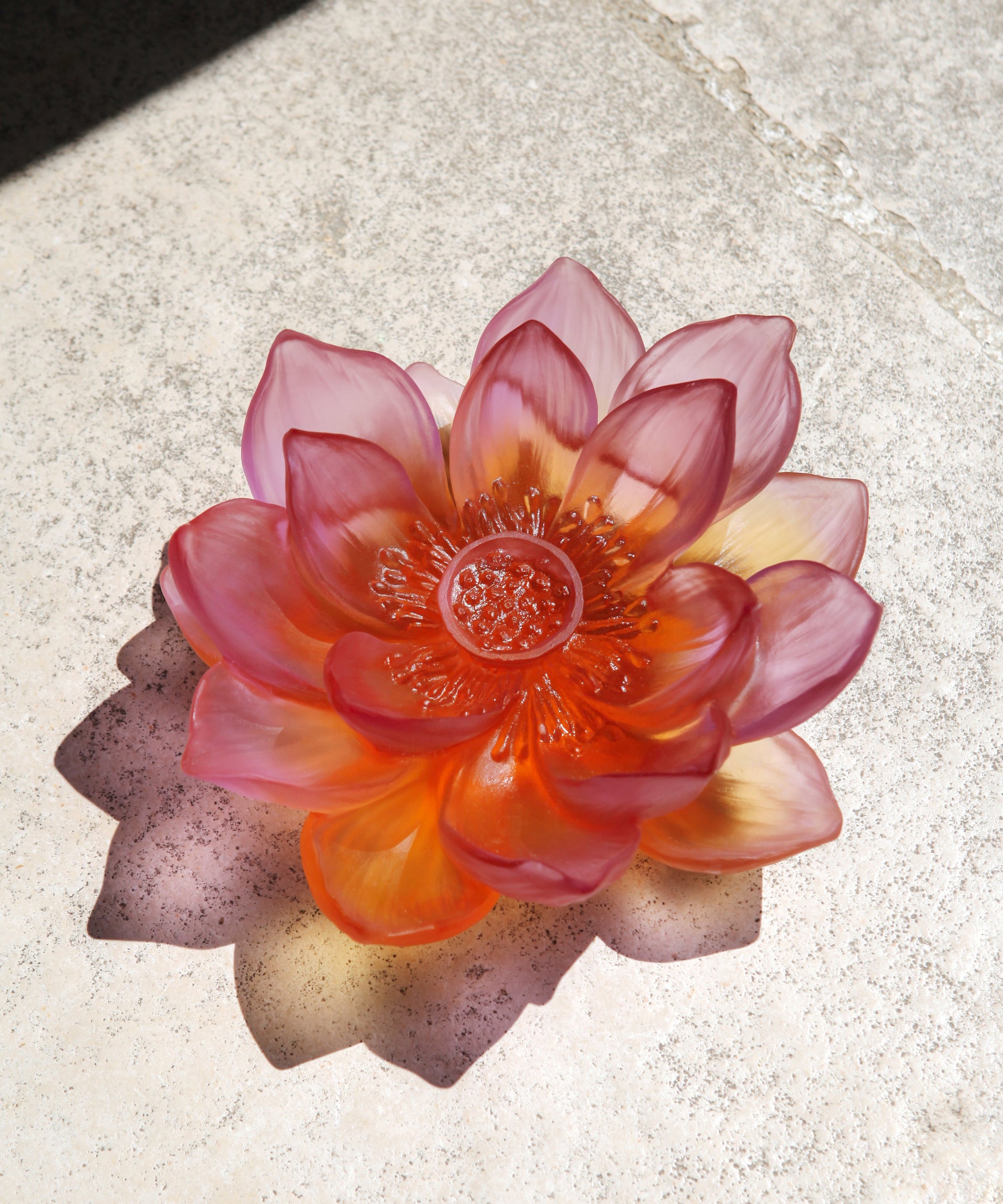 Jardin de Lotus Fleur décorative Ambre-rose - Daum