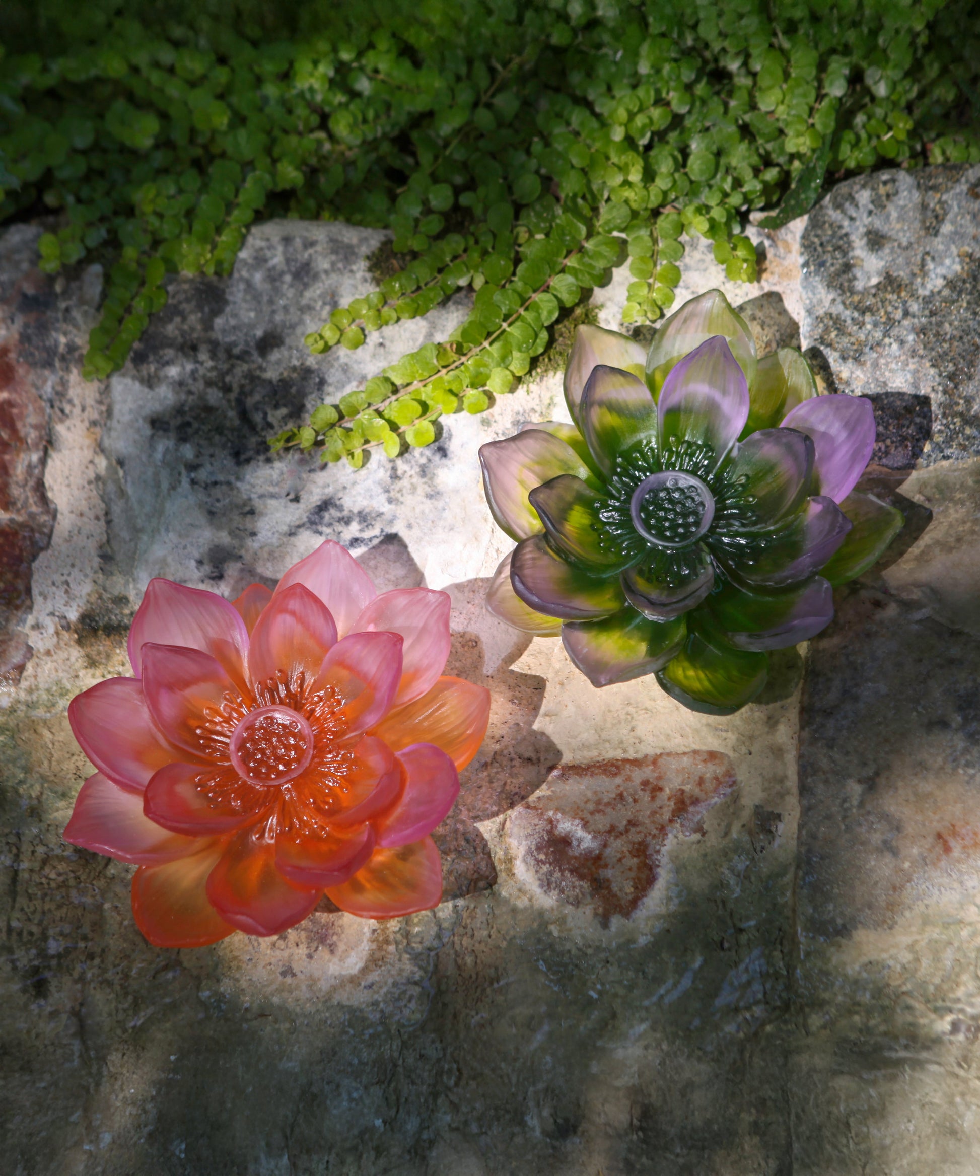 Jardin de Lotus Fleur décorative Ambre-rose - Daum