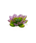 Jardin de Lotus Fleur décorative Violet-vert - Daum