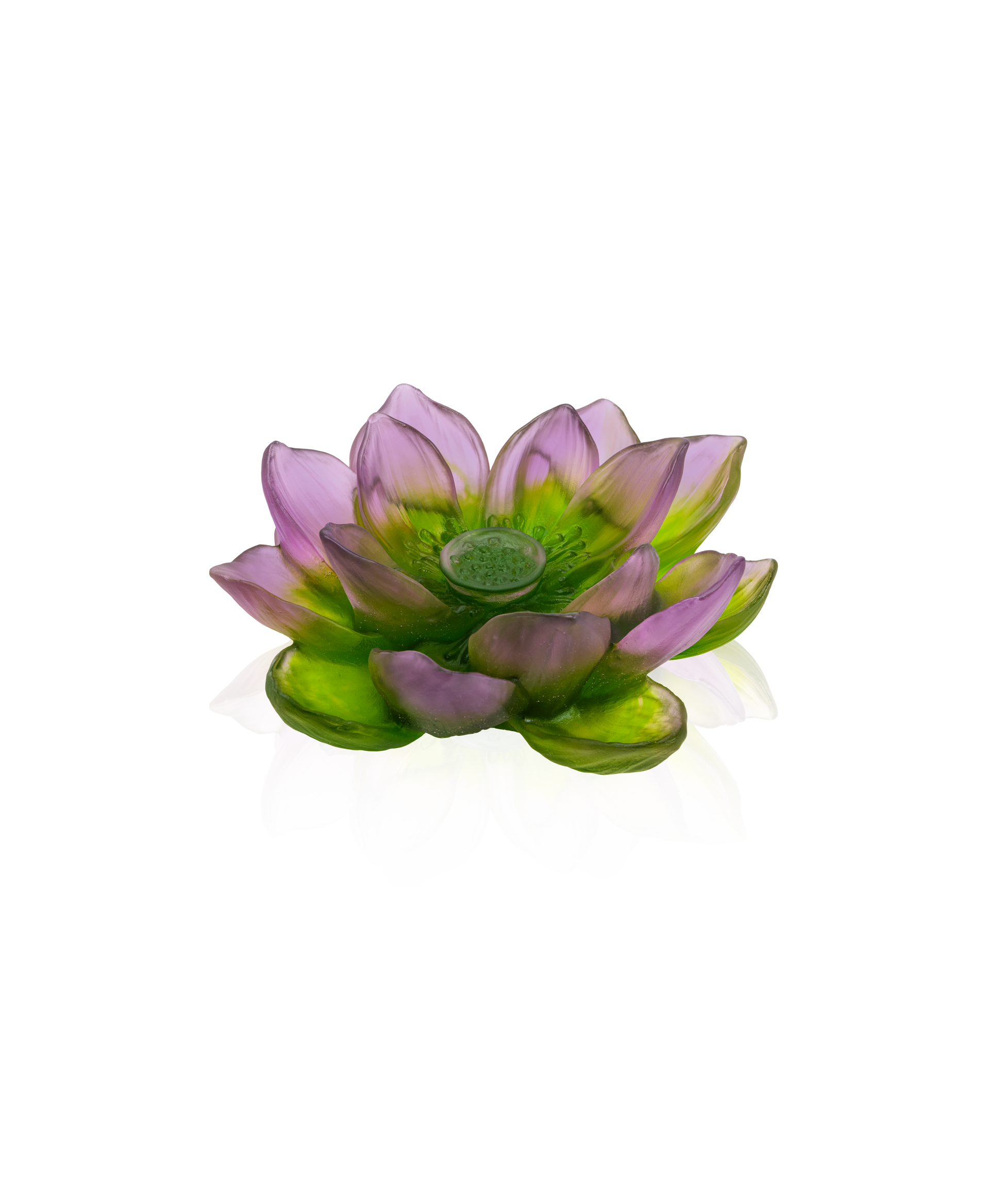 Jardin de Lotus Fleur décorative Violet-vert - Daum