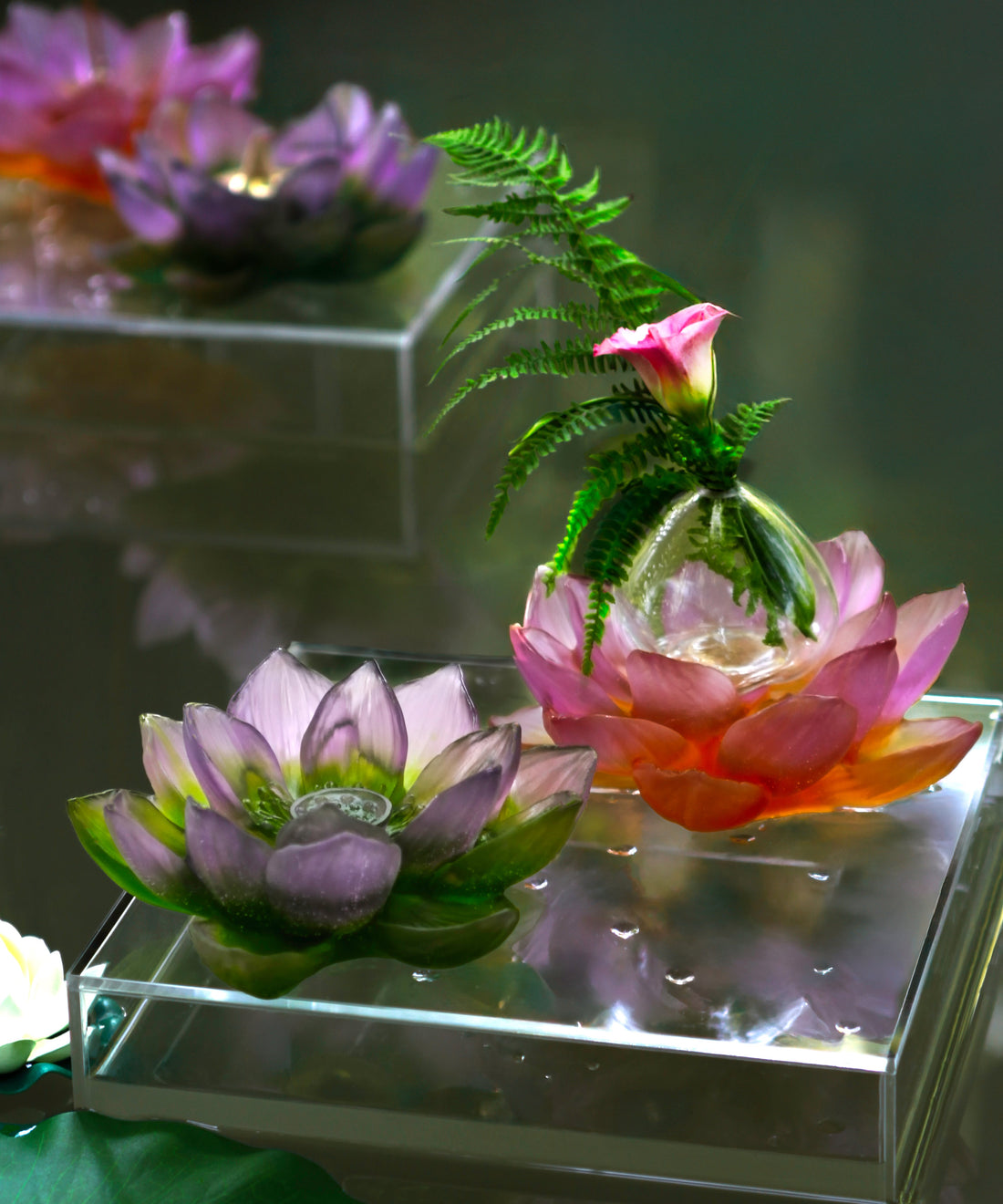 Jardin de Lotus Fleur décorative Violet-vert - Daum