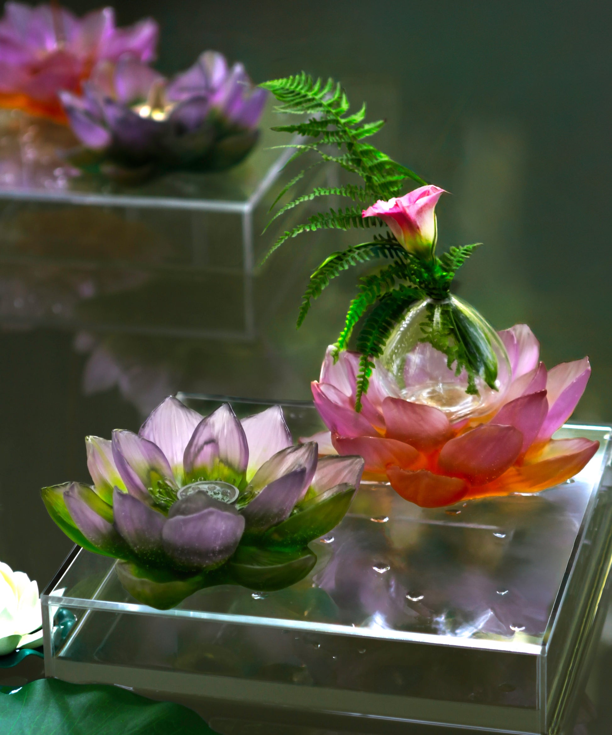 Jardin de Lotus Fleur décorative Violet-vert - Daum