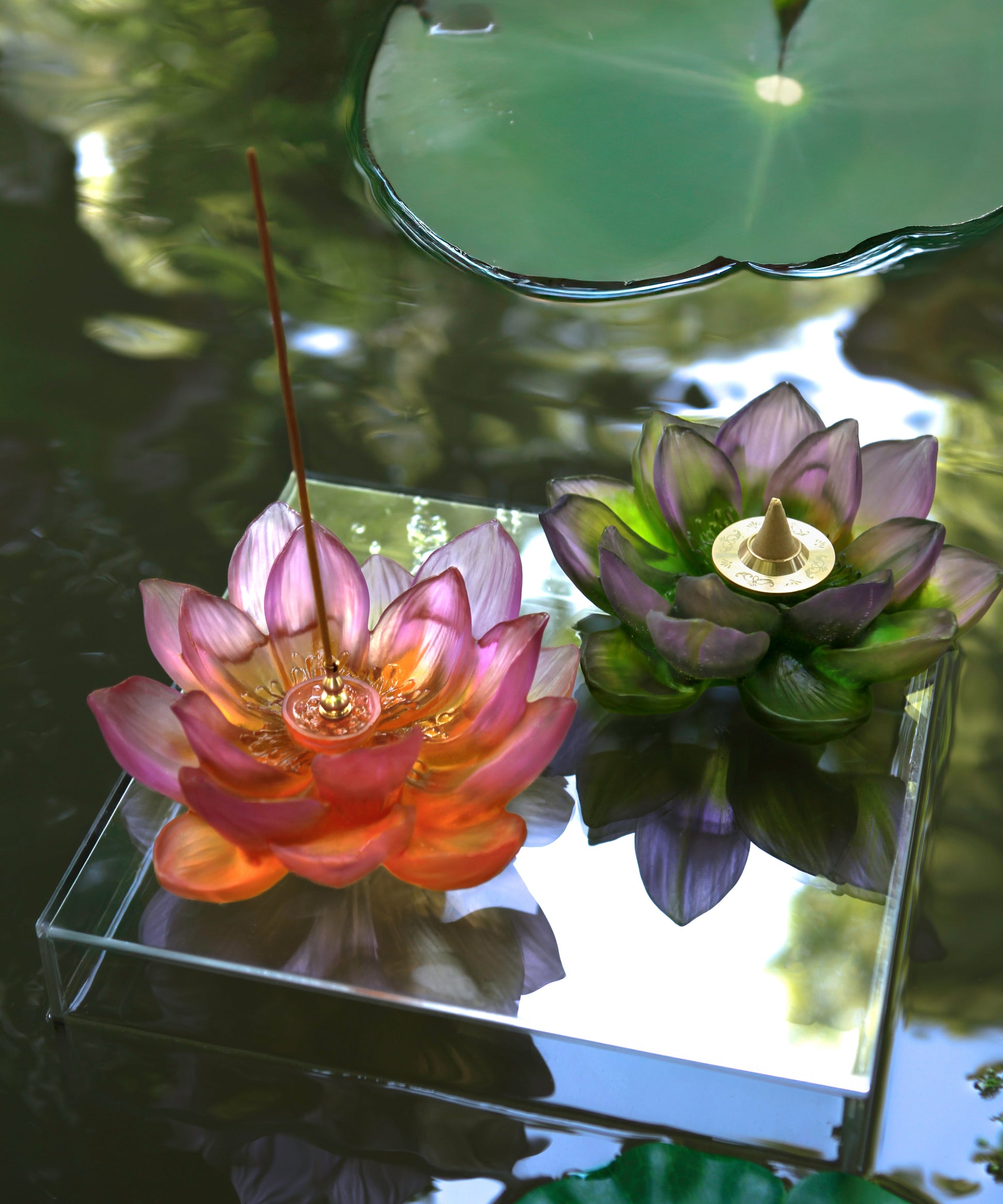 Jardin de Lotus Porte encens Ambre-rose - Daum
