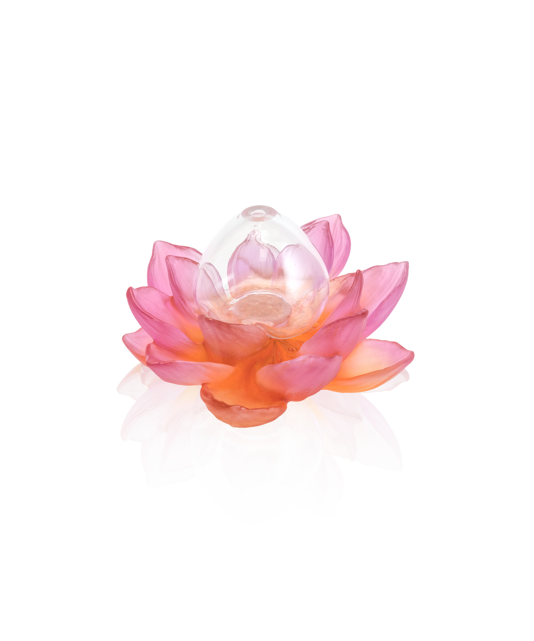 Jardin de Lotus Soliflore Ambre-rose - Daum