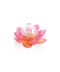 Jardin de Lotus Soliflore Ambre-rose - Daum