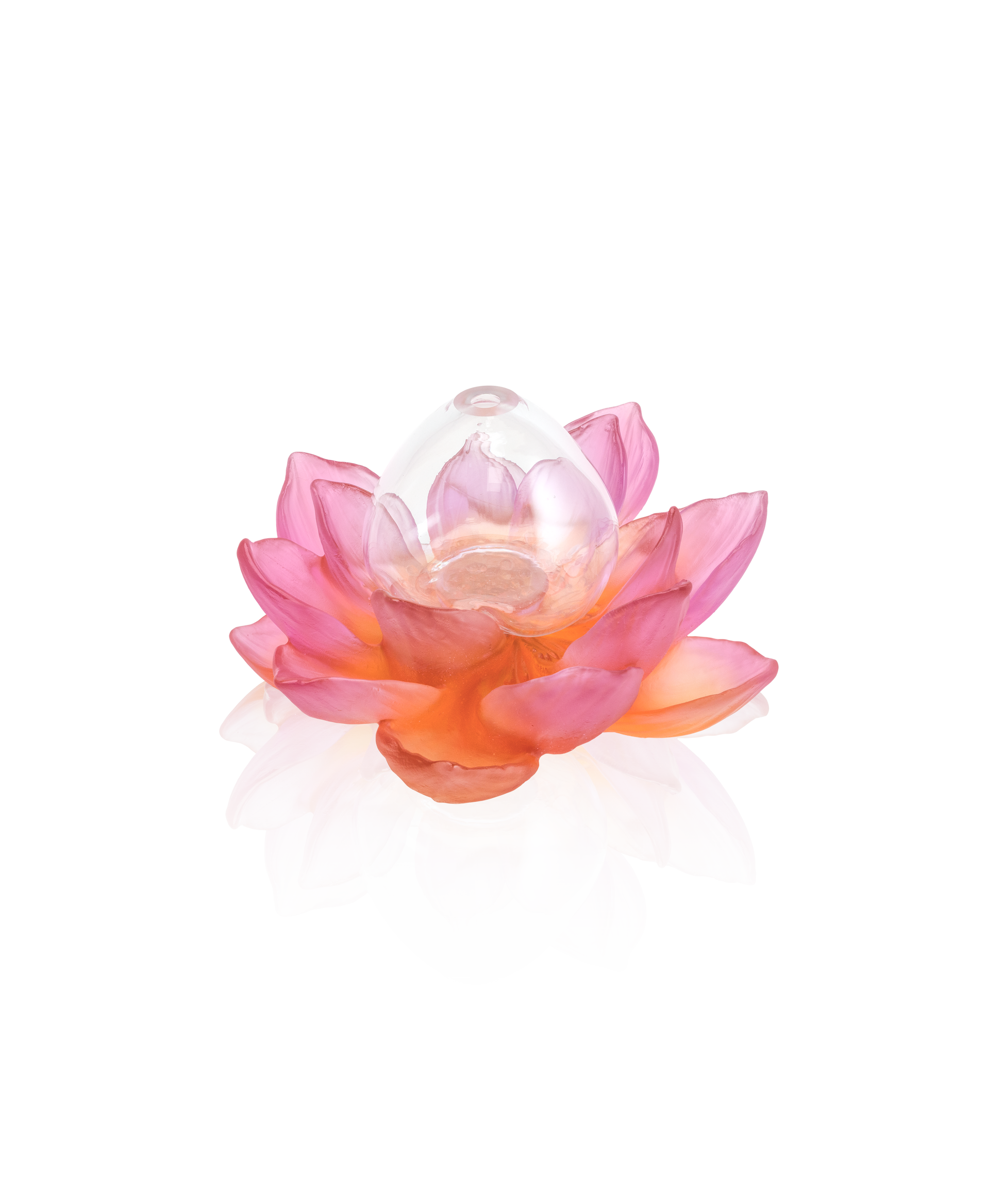 Jardin de Lotus Soliflore Ambre-rose - Daum