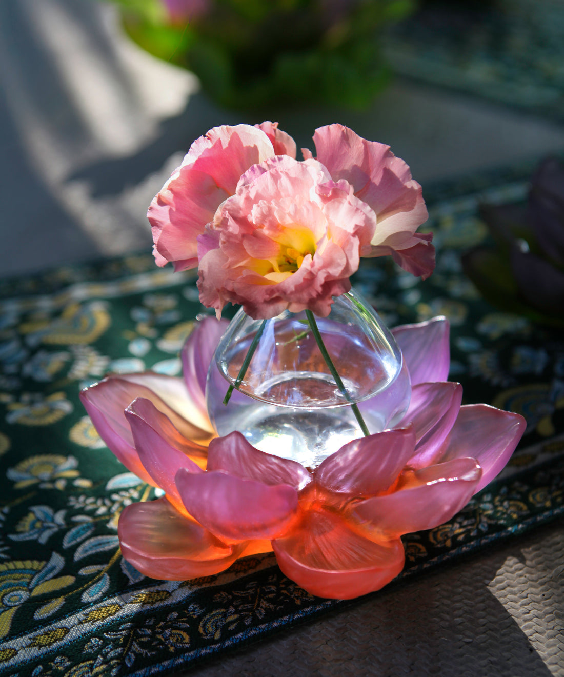 Jardin de Lotus Soliflore Ambre-rose - Daum