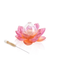 Jardin de Lotus Soliflore Ambre-rose - Daum