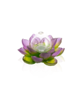 Jardin de Lotus Soliflore Violet-vert - Daum