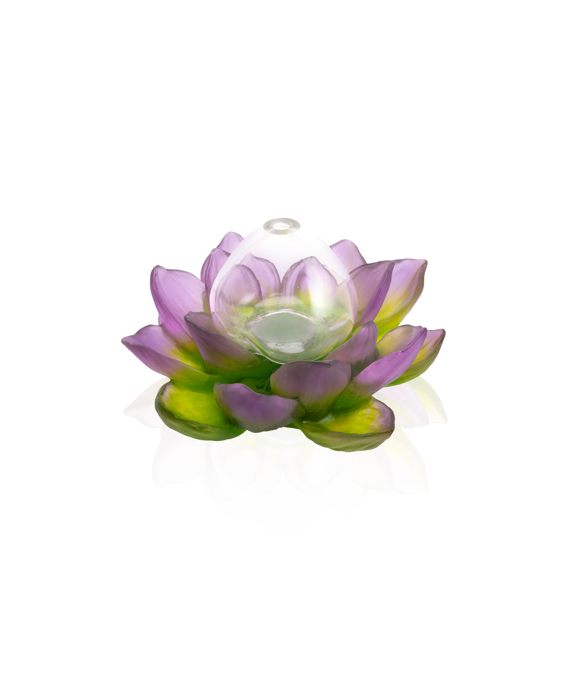 Jardin de Lotus Soliflore Violet-vert - Daum